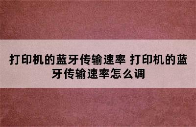 打印机的蓝牙传输速率 打印机的蓝牙传输速率怎么调